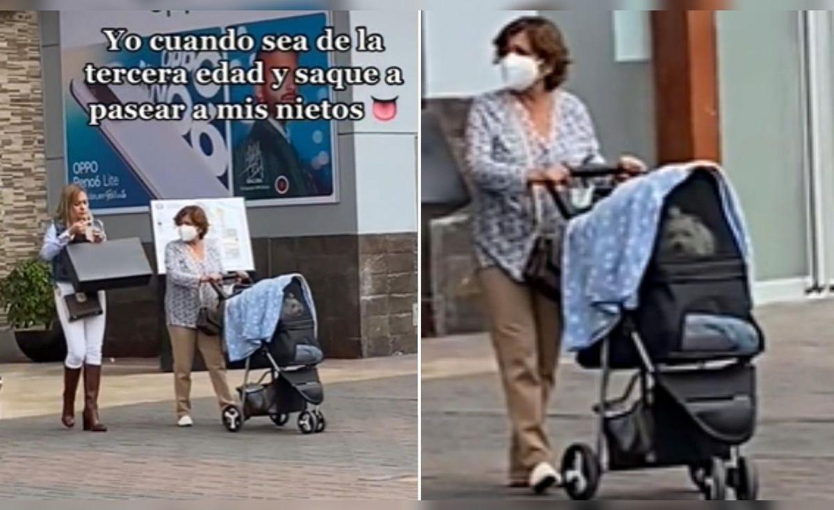 TikTok viral: adulta mayor coloca a su perrito en un coche de bebés ...