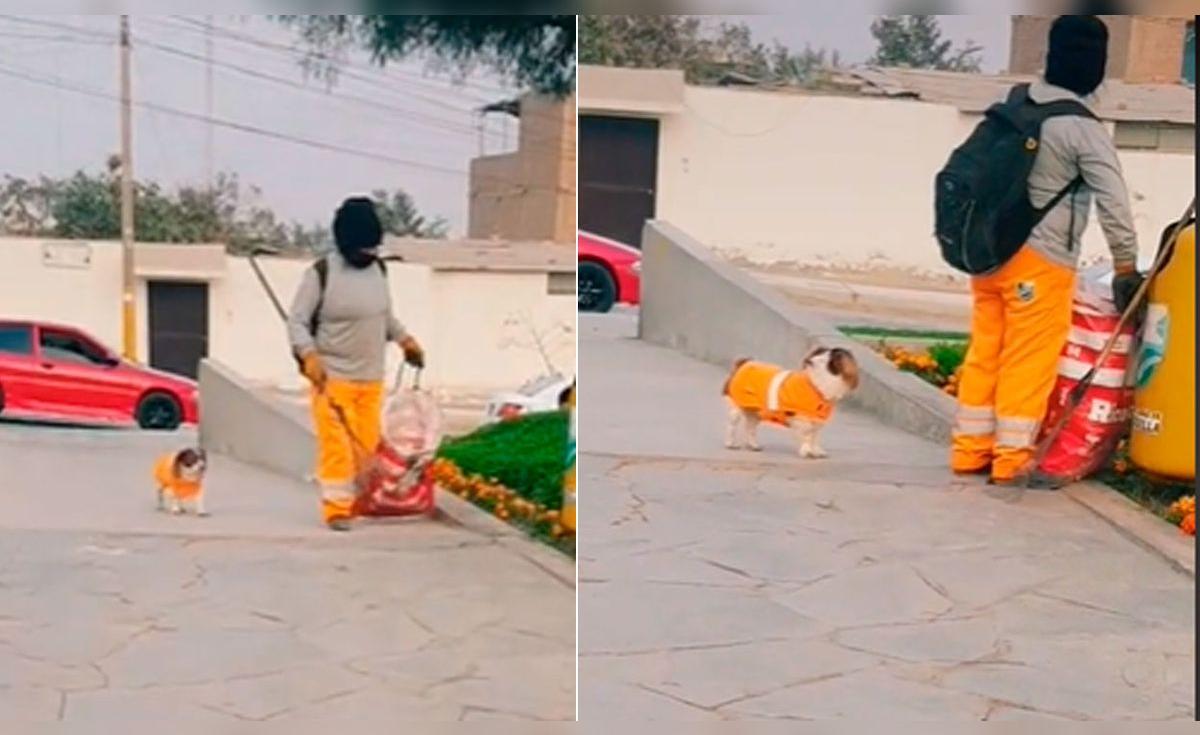 TikTok viral: trabajadora de limpieza lleva a su perrito a su jornada y ...
