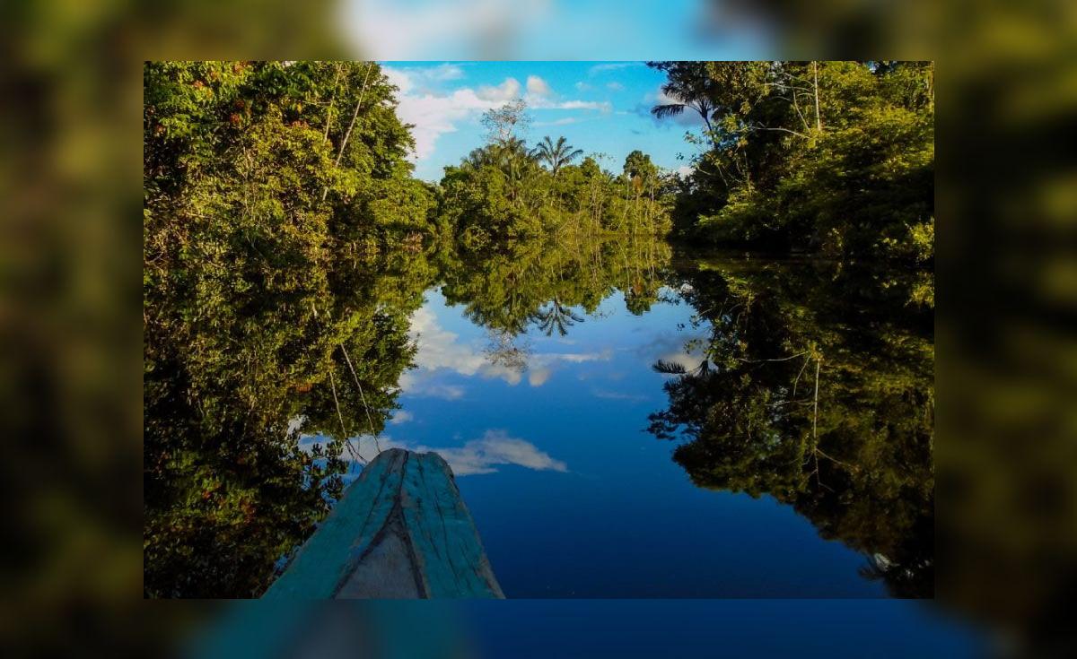 Financiamiento para la Diversidad Biológica de la Amazonía: Los ...