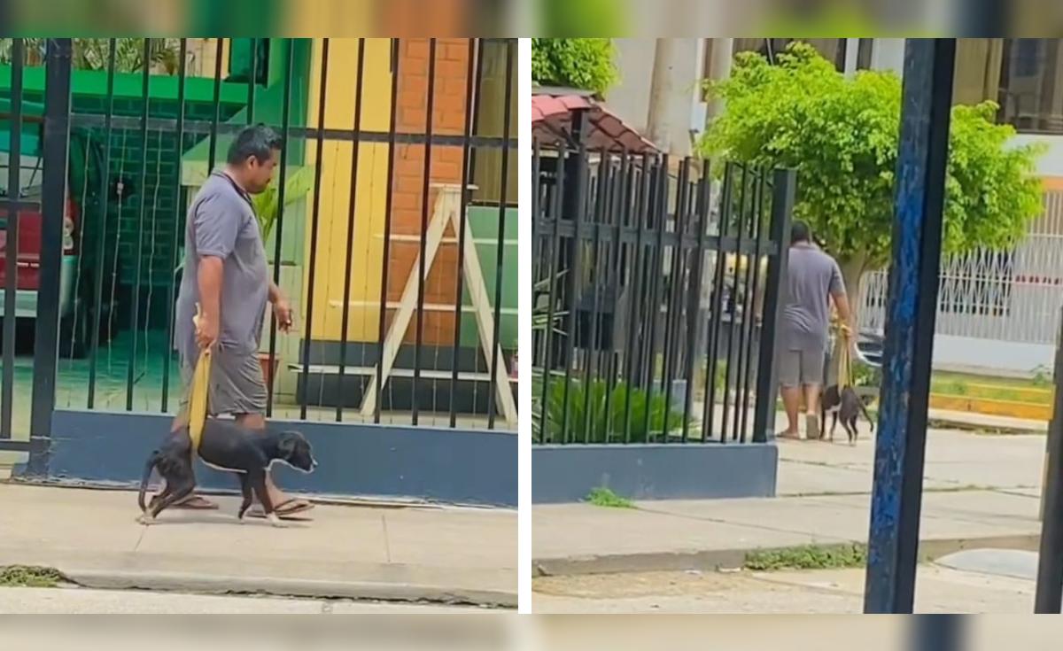 TikTok viral Hombre ayuda a caminar a su perrito enfermo y enternece en ...