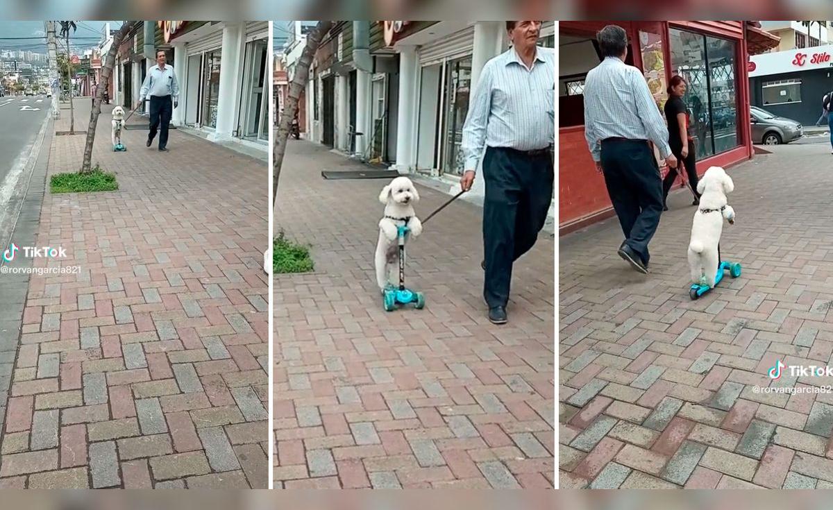 TikTok viral | Adulto mayor pasea a su perrito en scooter y causa furor ...
