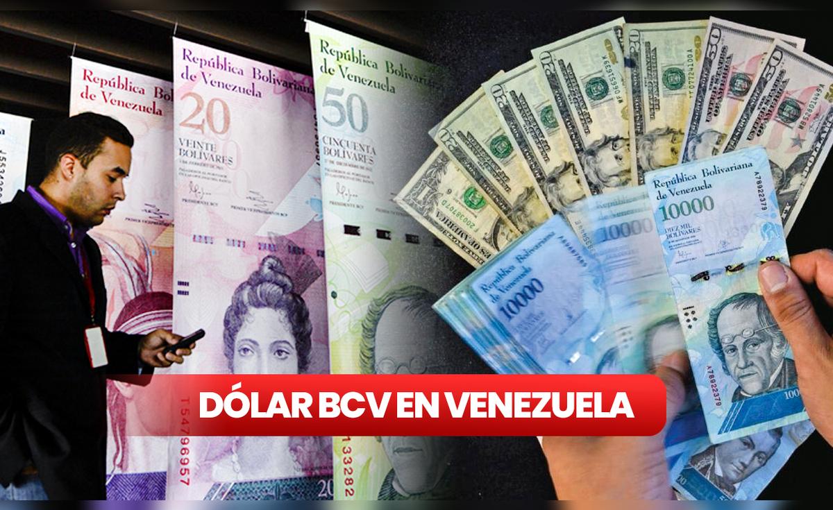 Dólar BCV 22 de julio 2023 conoce la cotización del