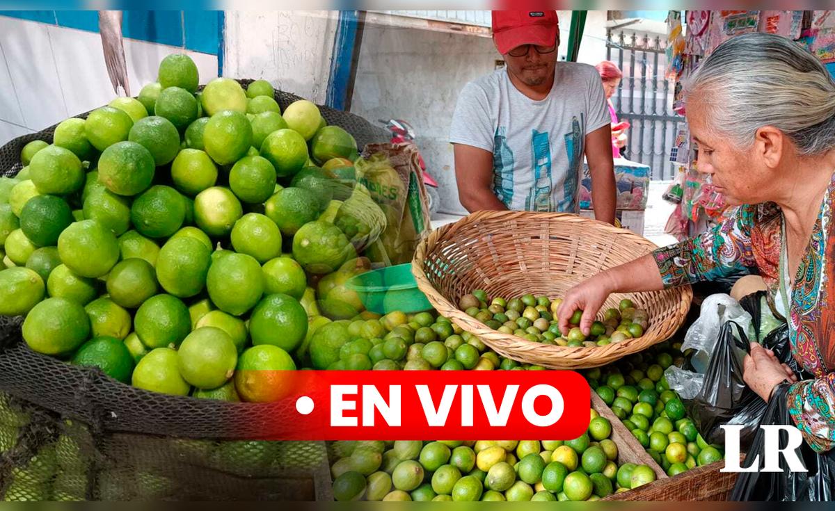 Precio del LIMÓN hoy, 24 de septiembre: cuánto cuesta el kilo en Lima y ...