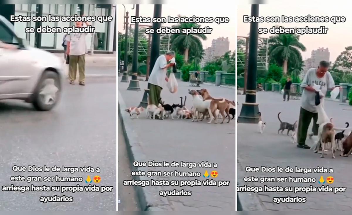 TikTok viral | Adulto mayor sorprende al arriesgar su vida para ...