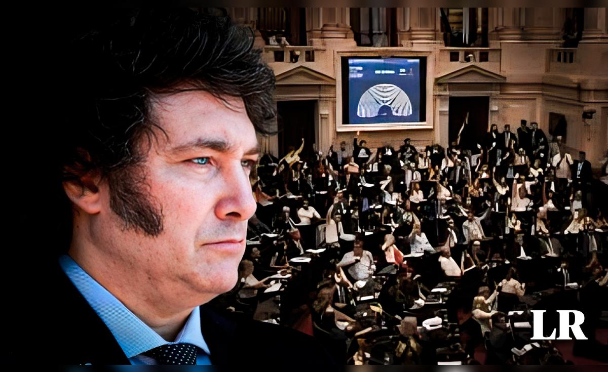 La ley ómnibus | ¿Qué alternativas tiene Javier Milei tras el rechazo ...