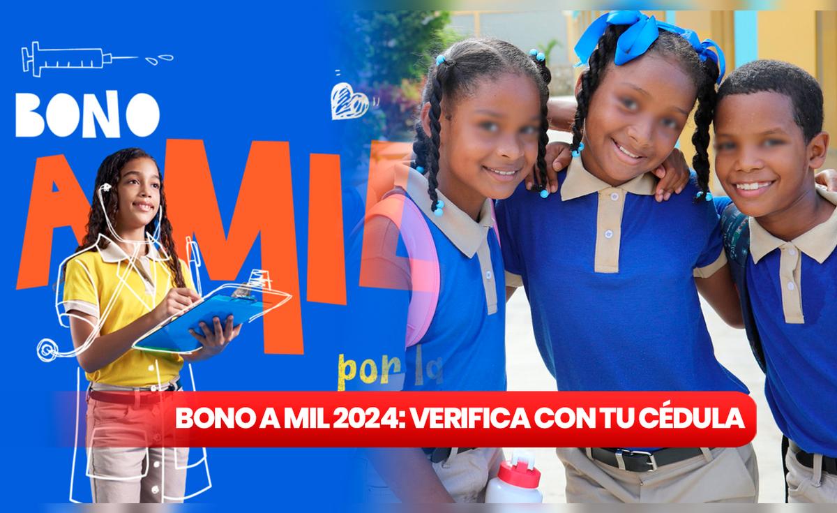 Bono a MIL consulta con cédula: GUÍA RÁPIDA para revisar y cobrar el ...