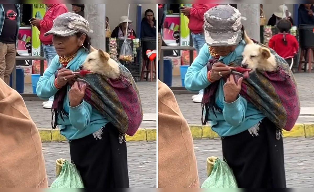 Mujer enternece las redes al cargar a su perrito en una manta: "Amor ...