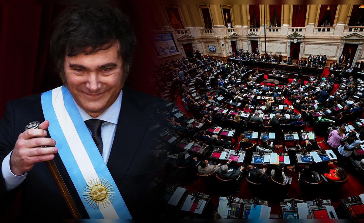 Argentina | Javier Milei logra aprobación general de la Ley Bases ...