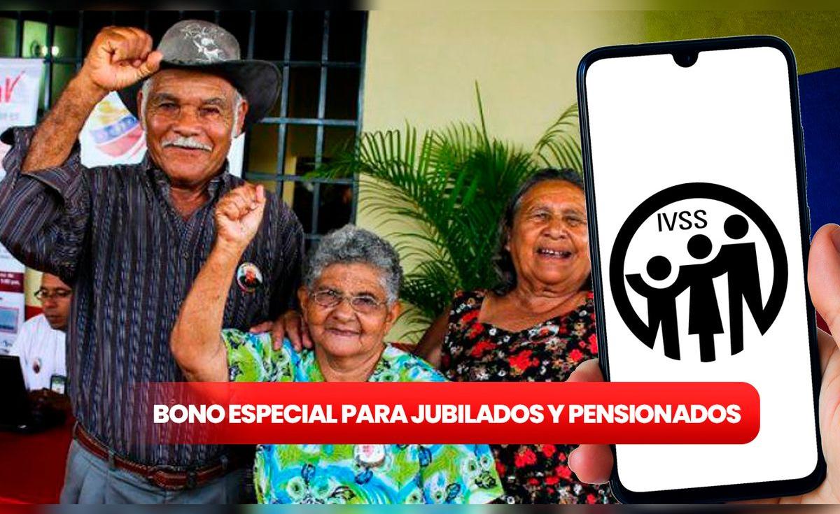 Cuál es el Bono Especial para JUBILADOS y PENSIONADOS 2024: requisitos ...