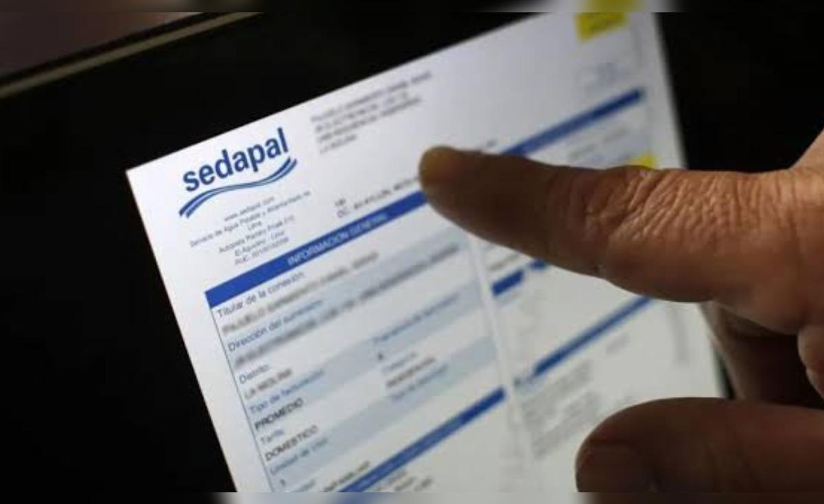 Consulta Sedapal 2024, EN LÍNEA: ¿cómo ver mi recibo de agua con número de suministro? | ver recibo de agua | aquanet | Lima | Callao | www.sedapal.com.pe recibos | Sociedad | La República