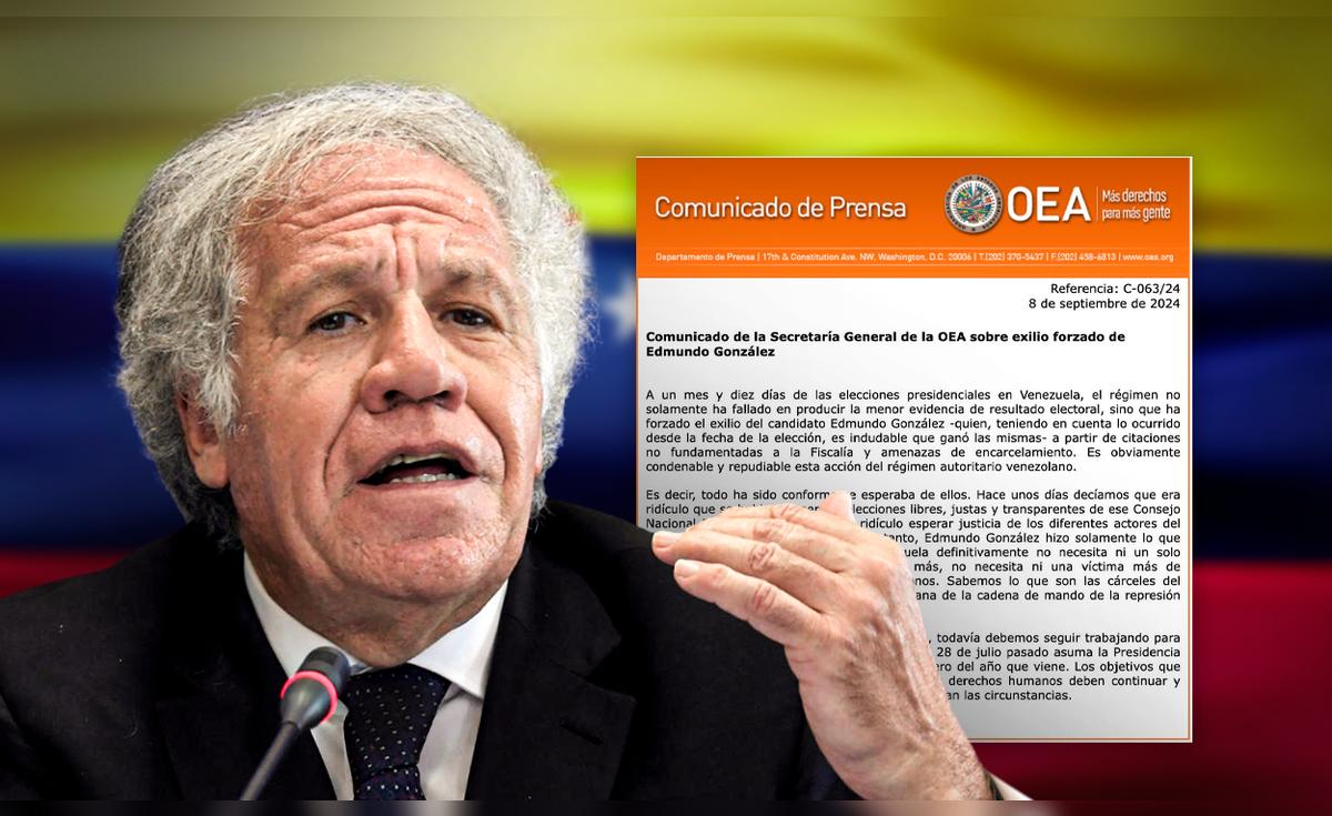 La OEA rechaza el exilio forzado del opositor Edmundo González de ...