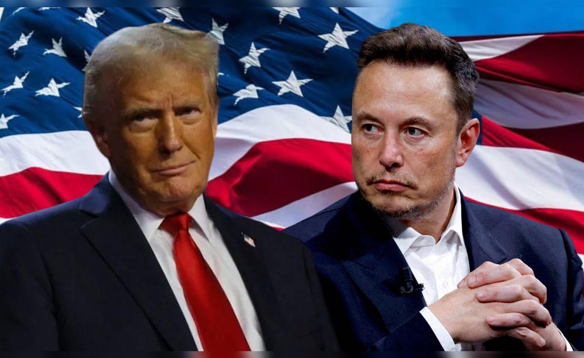 El cargo que podría ocupar Elon Musk en el nuevo gobierno de Donald ...