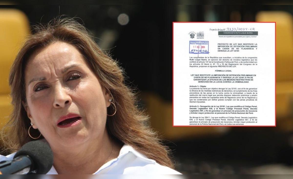 Congreso: plantean proyecto de Ley para restituir detención preliminar ...