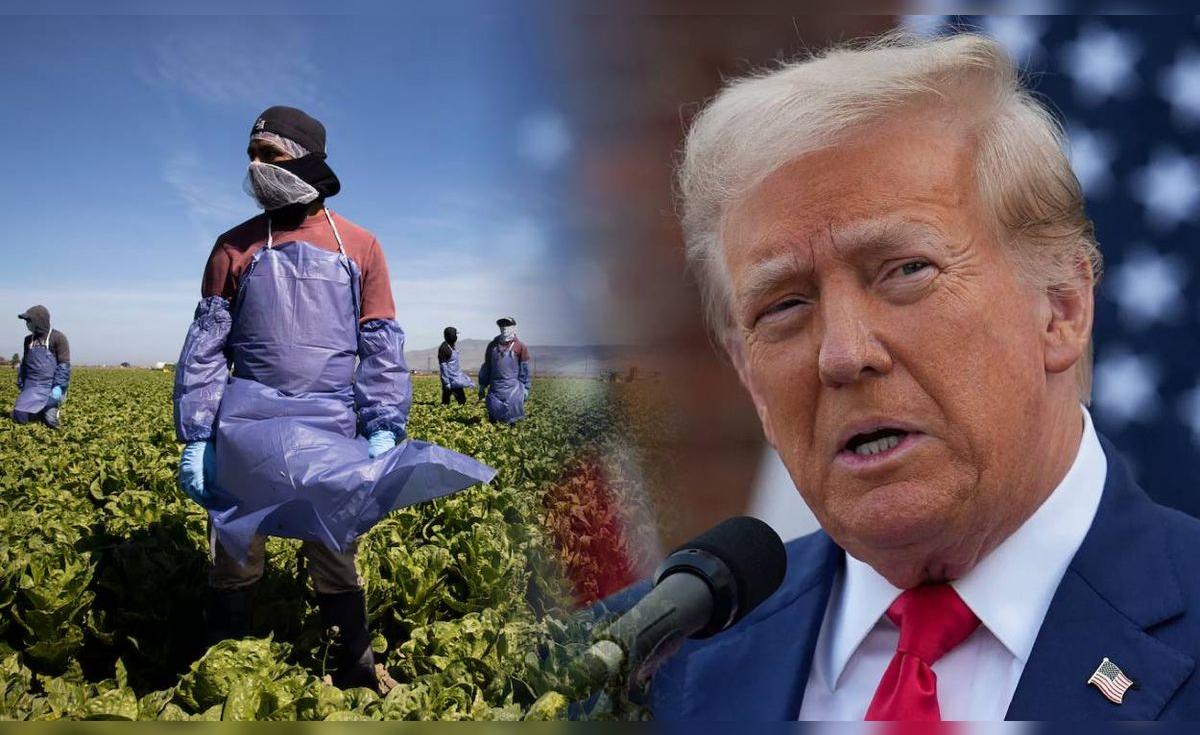 La guerra comercial de Donald Trump pone en riesgo el futuro de los ...