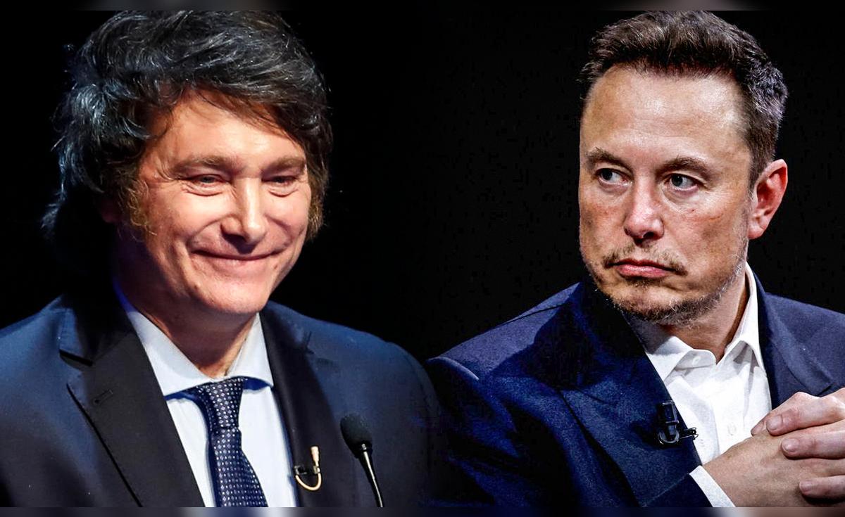 Elon Musk revela el futuro que le espera a Argentina con las reformas ...