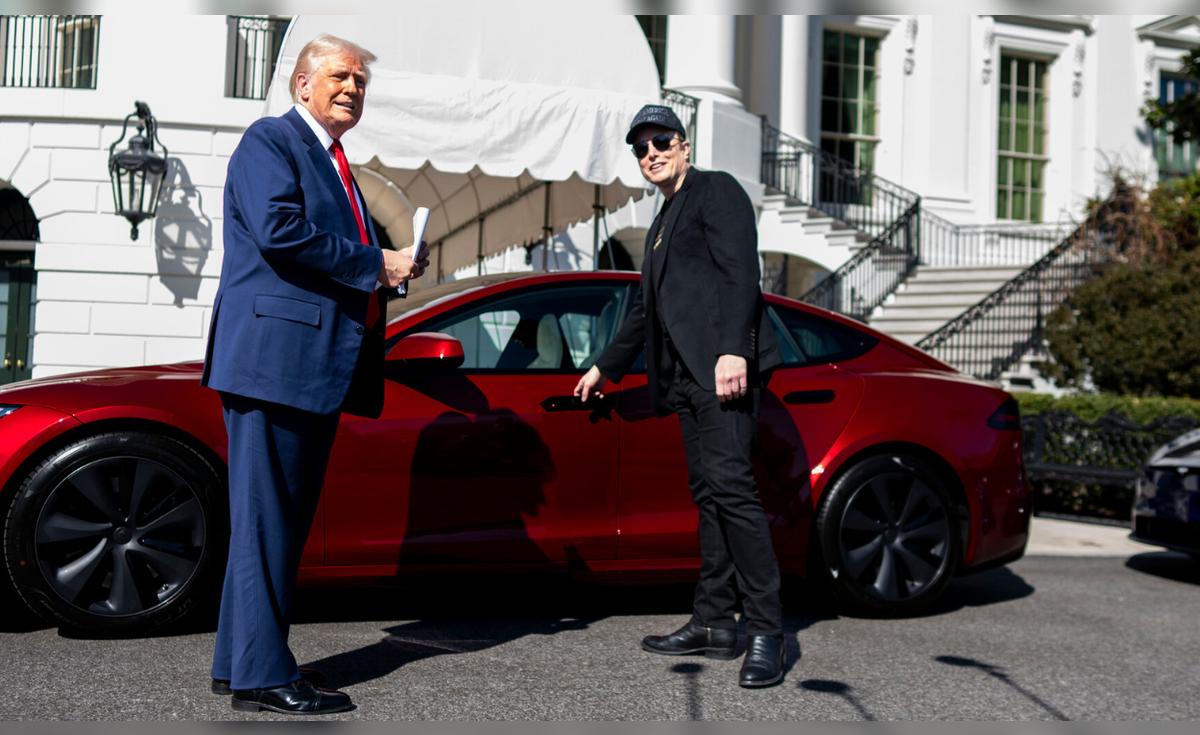 ¿Qué le pasa a Tesla de Elon Musk? Todo sobre la fuerte caída de sus ...