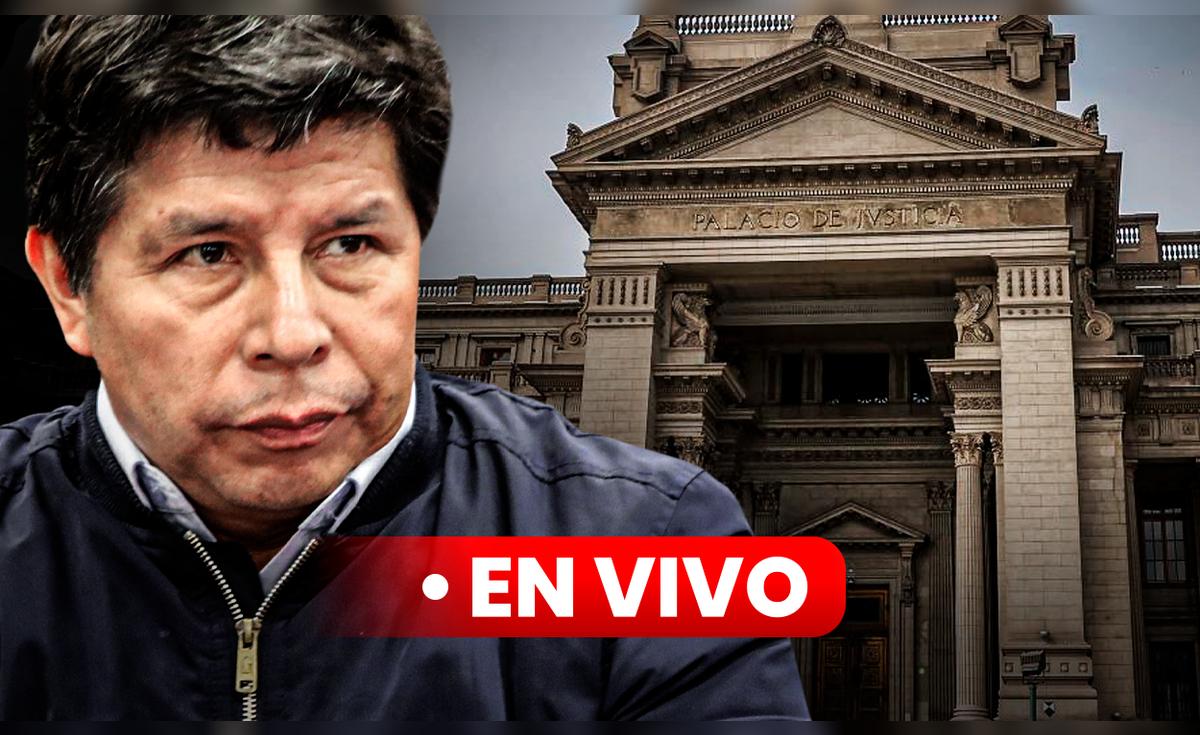 Pedro Castillo: juicio oral contra expresidente por fallido golpe de ...