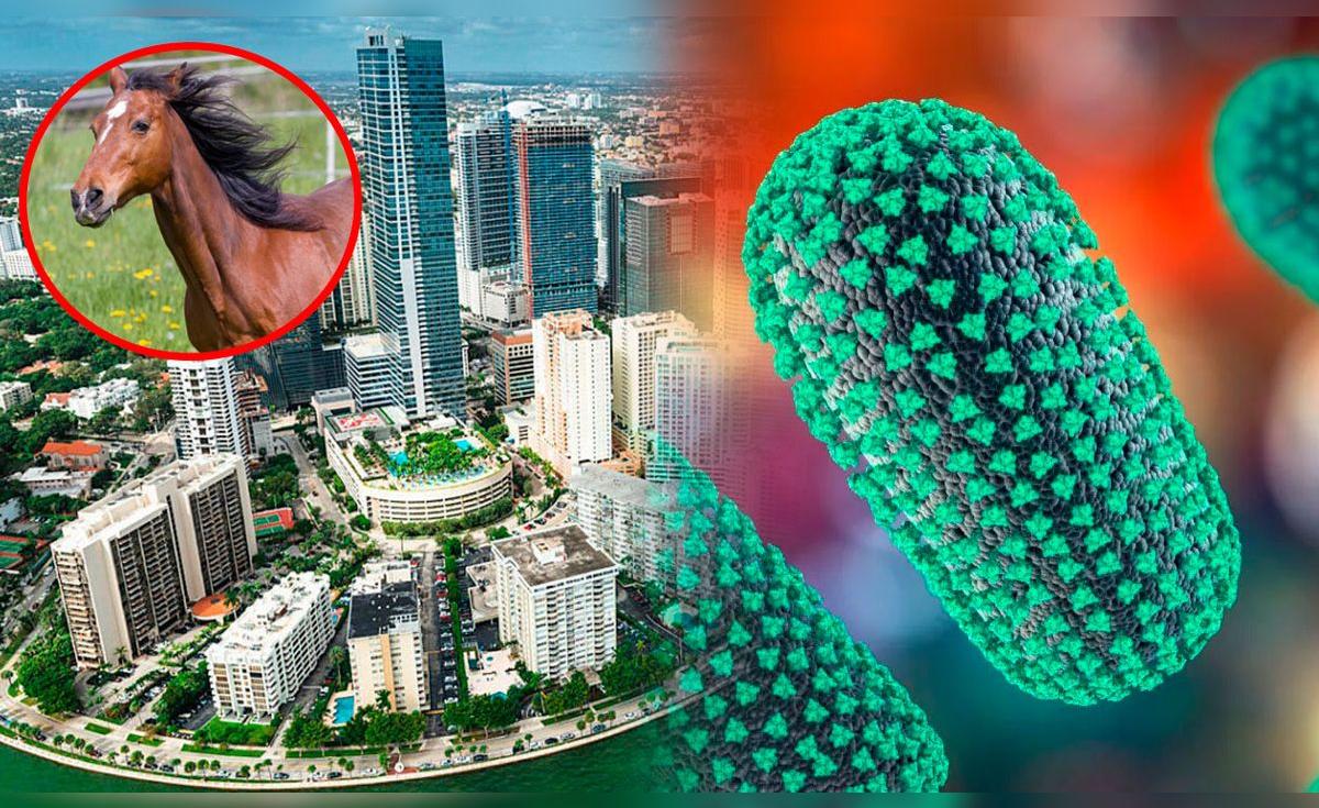 Alerta de rabia en Florida: Miami-Dade lanza advertencia luego de que ...