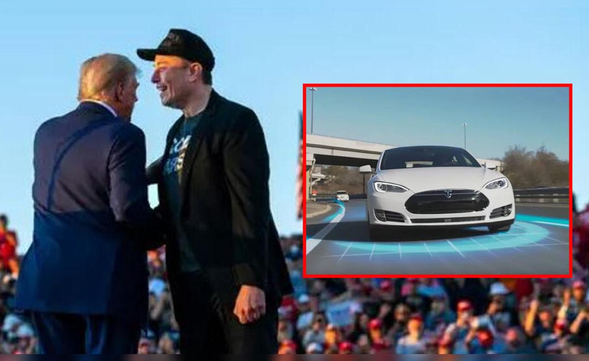 Donald Trump apoya a Elon Musk: cambios en la regulación de coches ...