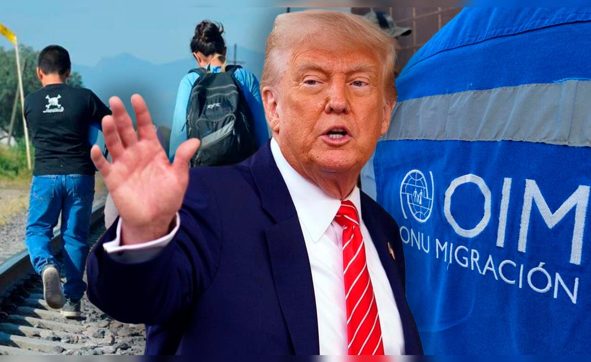 Nueva medida de Donald Trump en Estados Unidos: OIM, agencia de la ONU ...