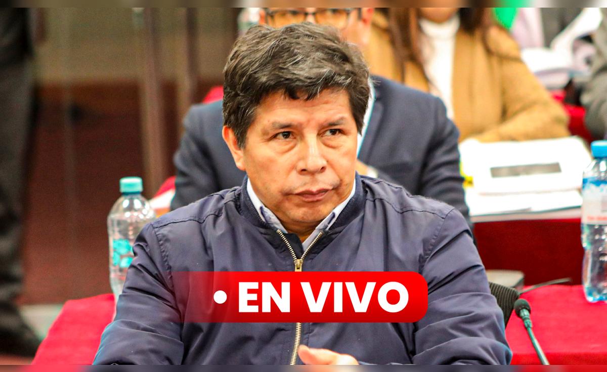 Pedro Castillo: audiencia de juicio oral por fallido golpe de Estado se ...