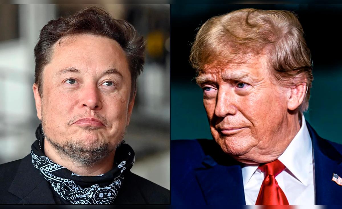 Elon Musk renunció a la administración de Donald Trump tras ...