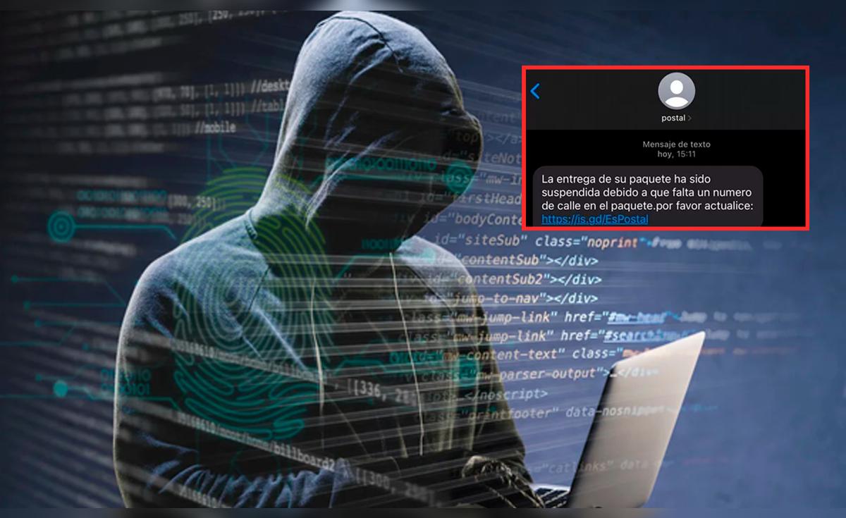 Paquete retenido: alertan nueva modalidad de estafa digital vía SMS que ...