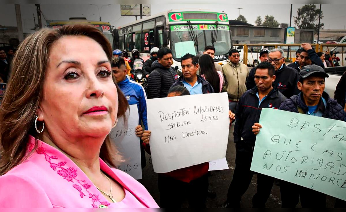 Transportistas convocan un nuevo paro en – El reportero andino