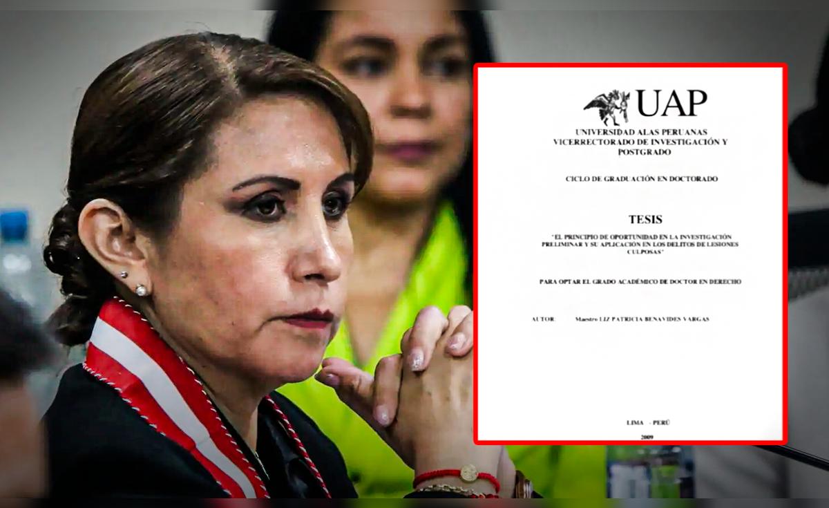 Revelan las fuentes del plagio en la tesis de – El reportero andino