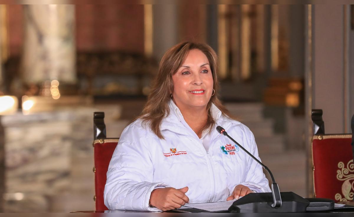 Dina Boluarte: Poder Judicial rechaza pedido – El reportero andino