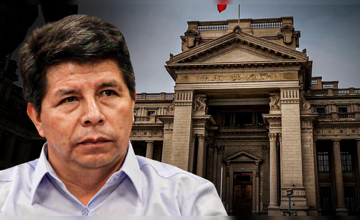 Pedro Castillo anuncia su respaldo a la precandidatura presidencial de ...