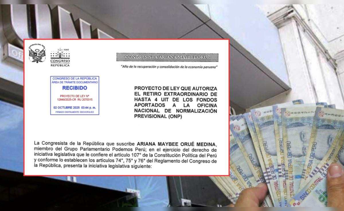 Retiro de ONP: presentan proyecto de ley para – El reportero andino