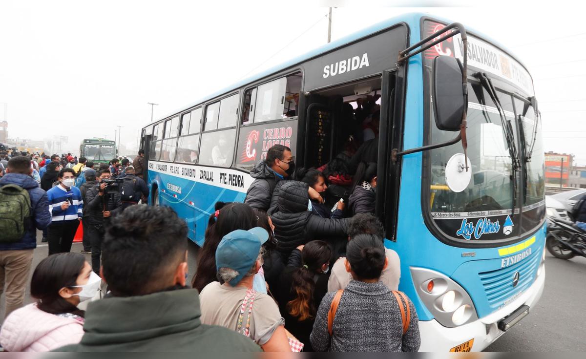 ¿Habrá paro de transportistas este miércoles – El reportero andino