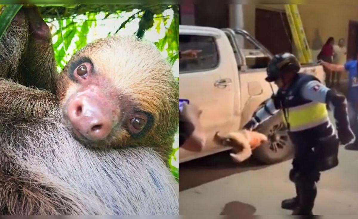 <? htmlspecialchars($article['title_ai']) ?>