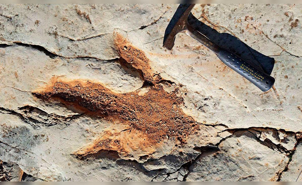 AI in Paleontology: Solving Dinosaur Mysteries - News Directory 3