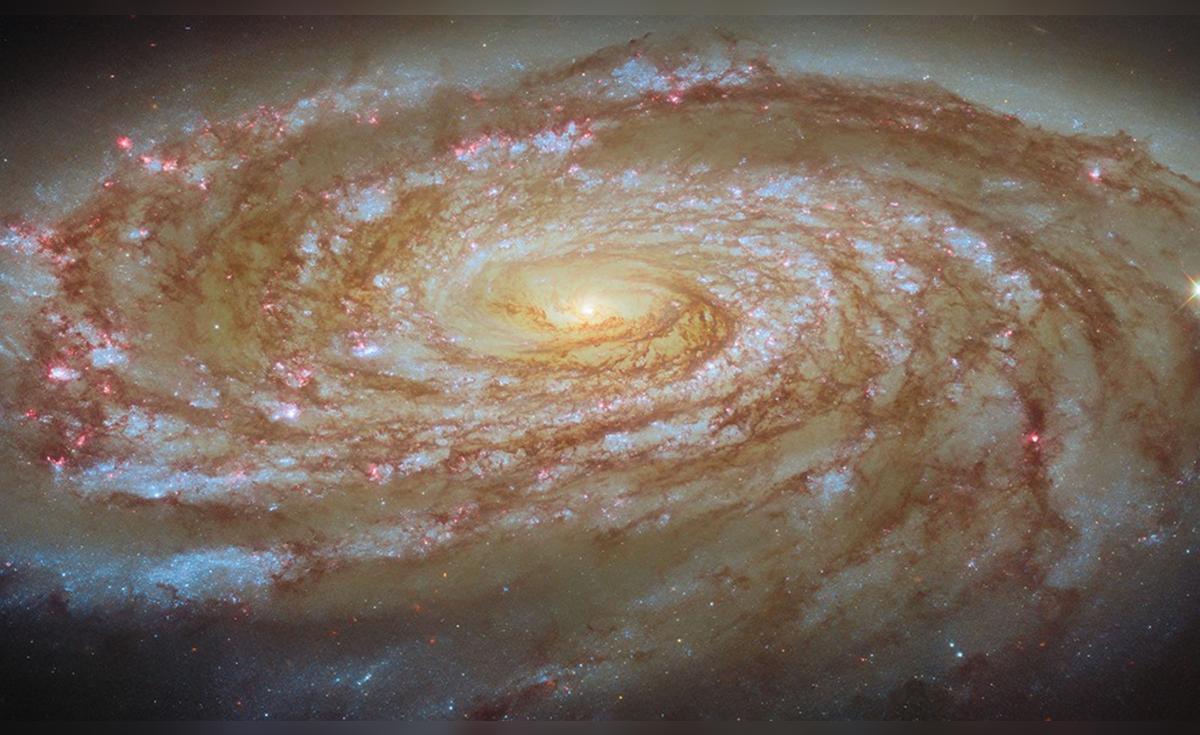 El telescopio Hubble captura una galaxia siendo despojada lentamente de ...