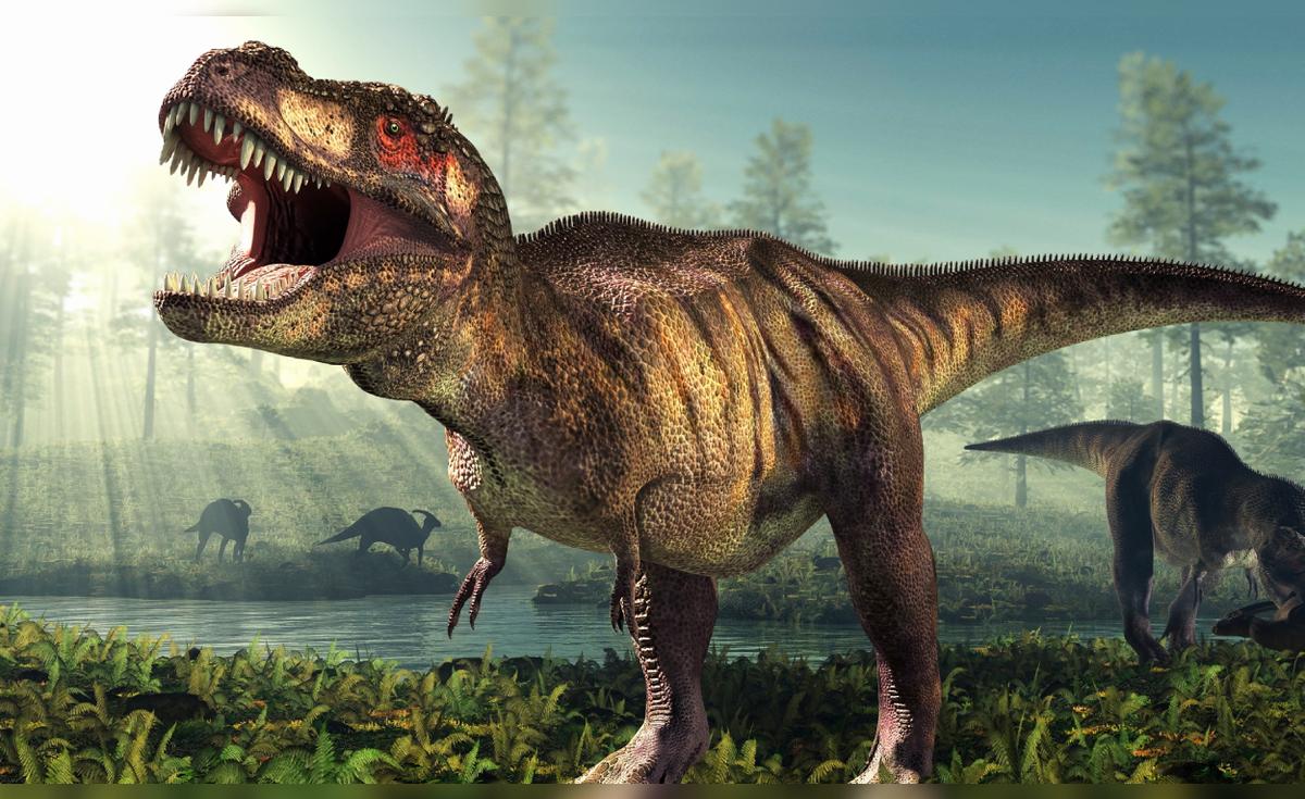 Scientists find that the Rex Tyrannosaurus took 40 years to reach its adult size