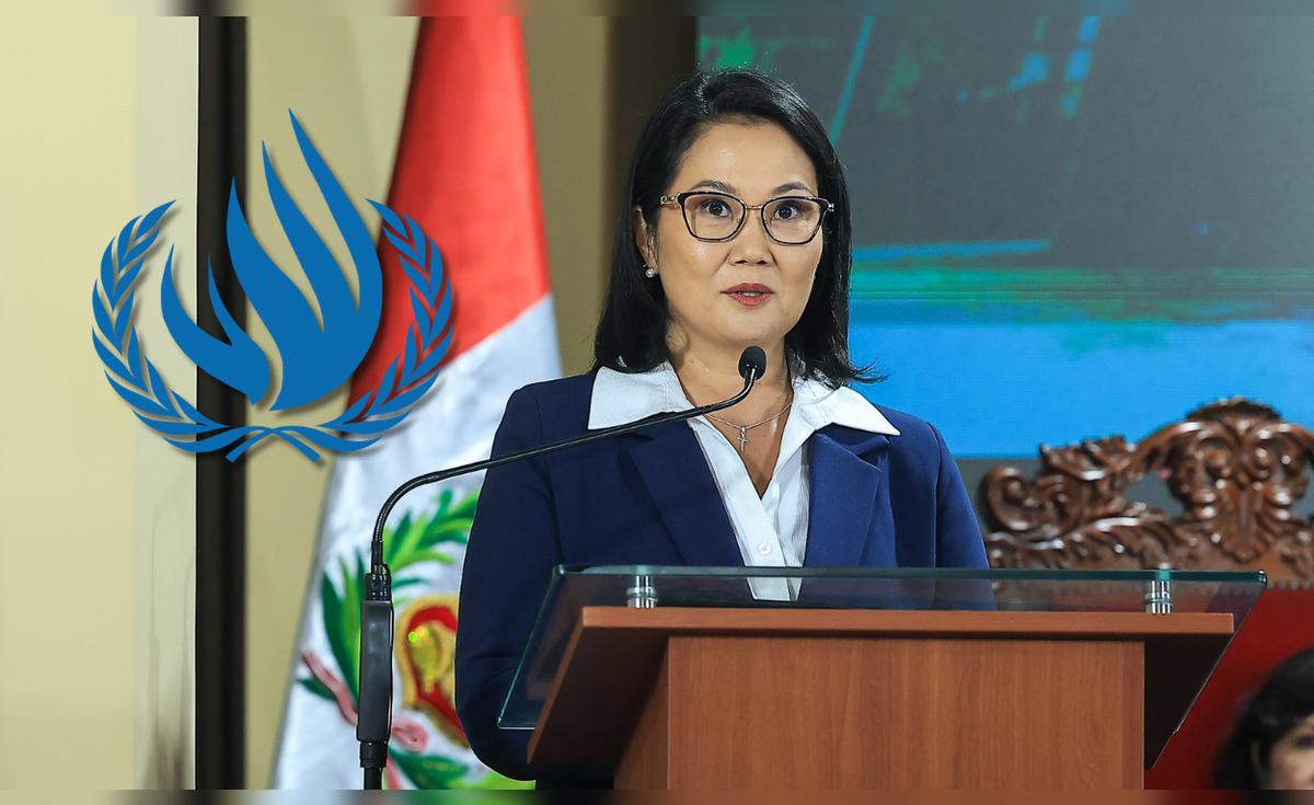 UN special rapporteurs question Peru's proposed emergency legislative powers