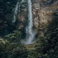 Amazonas