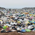 Contaminación ambiental