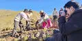 Comunidades campesinas logran recuperar 226 variedades de papa utilizando prácticas ancestrales