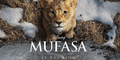 'Mufasa' película completa en español latino: descubre donde y cómo ver ONLINE la cinta animada del padre de Simba