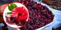 ¿Para qué sirve la flor de Jamaica? Descubre sus sorprendentes beneficios y cómo consumirla correctamente