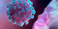 Científicos descubren en murciélagos de China un nuevo virus parecido al coronavirus que infectaría a humanos