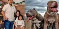 Niña muere en brutal ataque de 6 perros pitbulls cuando su niñera se desmayó: caninos fueron sacrificados en Indiana