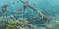 Paleontólogos peruanos descubren que un animal marino vivió en lo que ahora es Cusco hace 470 millones de años