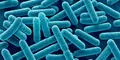 ¡Cuidado, California y Nevada! Peligrosa bacteria fue encontrada en productos de empresa de alimentos listos para comer