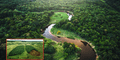 La selva amazónica no sería el "pulmón del mundo": un geógrafo devela su rol real en la producción de oxígeno