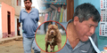 Peruano perdió los dos brazos y estuvo un mes en coma tras brutal ataque de 3 pitbulls: dueños no se hacen responsables