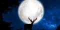 Calendario lunar de julio: cuándo brillará la luna llena y cuáles serán las fases lunares en este mes